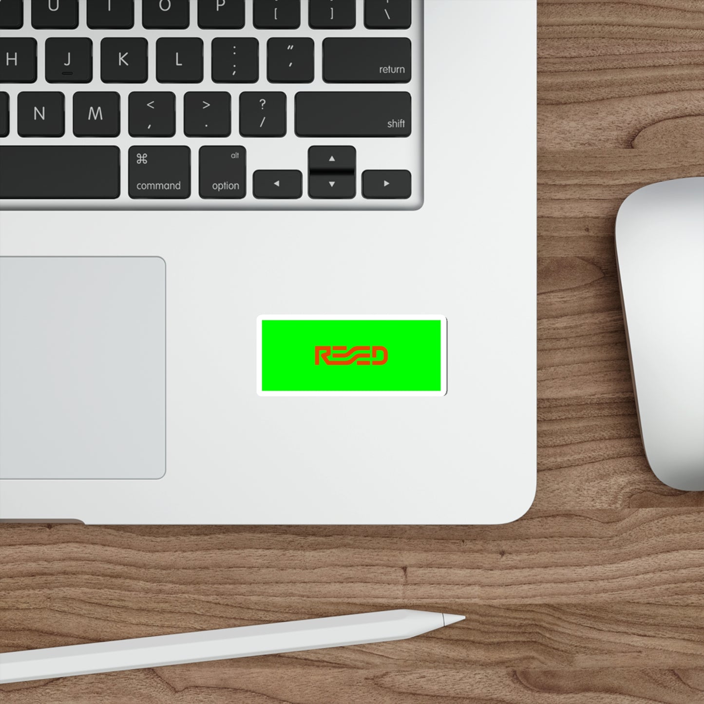 REED LOGO GREEN/RED STICKER - Never Stop Chasing